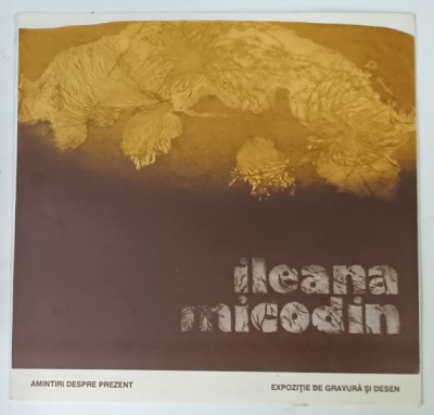 ILEANA MICODIM , EXPOZITIE DE GRAVURA SI DESEN , CATALOG , 1994 foto