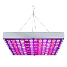 Lampă cu LED eMazing de 45W pentru cultivarea plantelor &icirc;n interior, cu 225 LED-uri (165 roșii și 60 albastre), dimensiuni 30 x 30 cm, iuminare multic