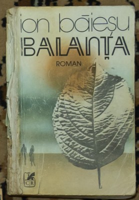 Ion Baiescu - Balanta foto
