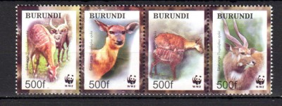 BURUNDI 2004 WWF ANTILOPE foto
