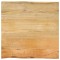 vidaXL Blat masă cu margini naturale, 60x60x2,5 cm, lemn masiv mango 370714