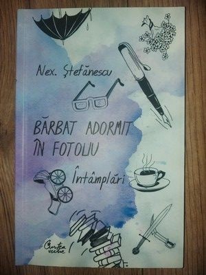 Barbat adormit in fotoliu- Alex. Stefanescu