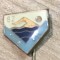 Insigna CUPA 1982 INOT