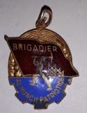CY - Insigna &quot;Brigadier al Muncii Patriotice&quot; / RPR / lipsa prindere, Romania de la 1950