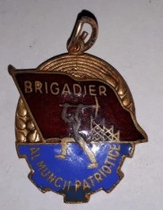 CY - Insigna &quot;Brigadier al Muncii Patriotice&quot; / RPR / lipsa prindere