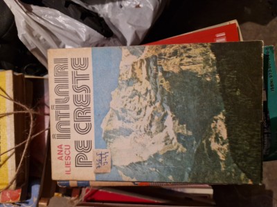 &amp;Icirc;nt&amp;acirc;lniri pe creste vintage foto