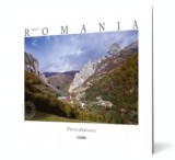 Made in Romania (romana) - Editura Ad Libri
