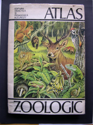 Atlas Zoologic. Format mare, color foto