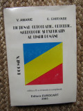 Dicționar ortografic, ortoepic, morfologic și explicativ al limbii rom&acirc;ne-Amarie