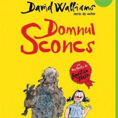 Domnul Sconcs - Hardcover - David Edward Walliams - Arthur