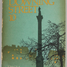 DOWNING STREET 10 de CAMIL MURESAN ...ROBERT PAIUSAN , 1984 , DEDICATIE *