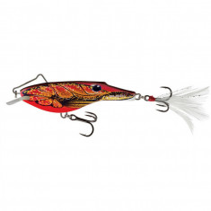 Vobler Salmo Rail Shad Floating RB6S, Culoare FC, 6cm, 14g