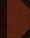 ESV Single Column Journaling Bible (Trutone, Brown/Cordovan, Portfolio Design)