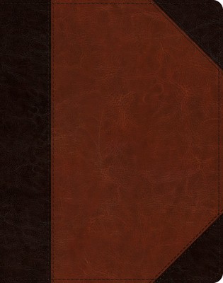 ESV Single Column Journaling Bible (Trutone, Brown/Cordovan, Portfolio Design)