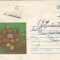 Romania, Flori, plic circulat intern, 1979