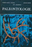 Paleontologie - 1983 - Elisabeta Nistor-Hanganu (I331)