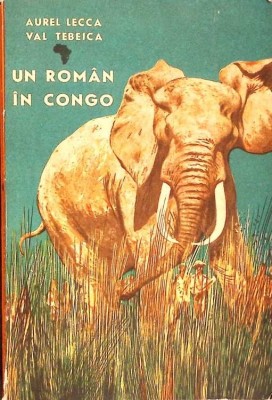 UN ROMAN IN CONGO-AUREL LECCA, VAL TEBEICA-268095 foto