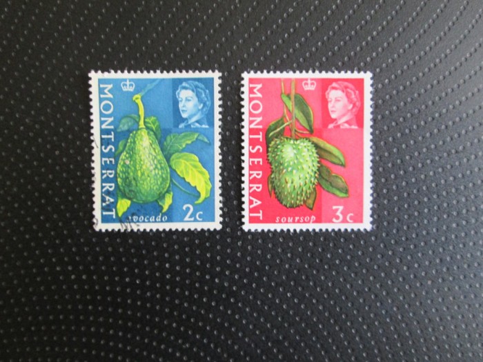 MONTSERRAT SERIE MH=62