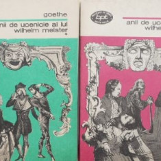 Anii de ucenicie ai lui Wilhelm Meister (2 volume) - Johann Wolfgang Goethe