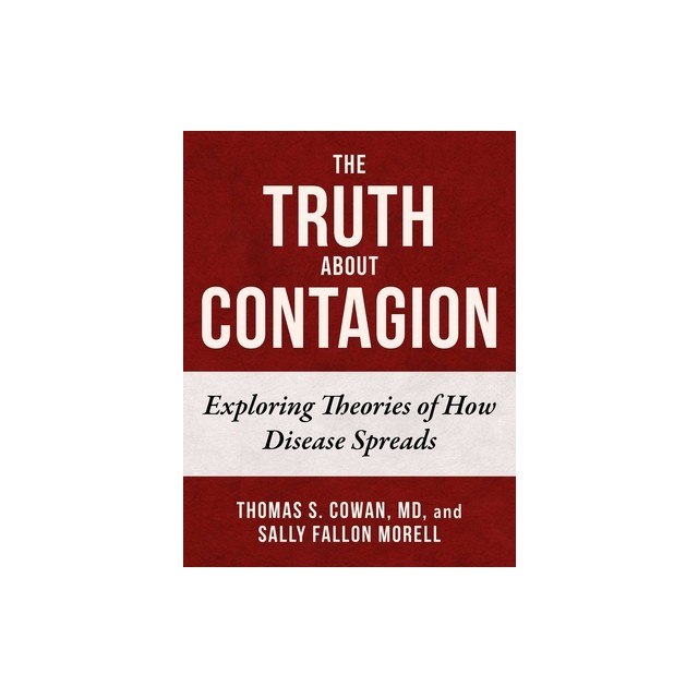 The Truth about Contagion: Exploring Theories of How Disease Spreads