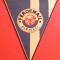 Fanion fotbal - &quot;FEROEMAIL&quot; PLOIESTI