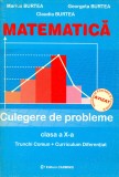 Matematica culegere de probleme clasa a a X-a TC+CD - Marius Burtea