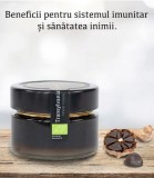 Miere cu usturoi negru bio 130 g Transylvania s Finest Foods