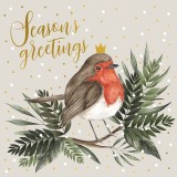 Felicitare - Season&#039;s Greetings Robin | The Art File