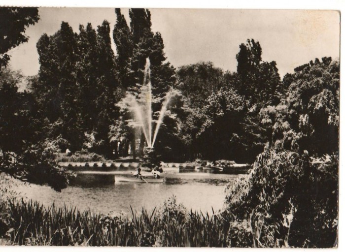 CPI B 10810 CARTE POSTALA - BUCURESTI. GRADINA CISMIGIU, RPR