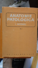 Anatomie patologica vol I, II, III, de I. Moraru 1980 STARE FOARTE BUNA foto