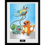 Poster cu Rama Pokemon - Kanto Starters, GB Eye