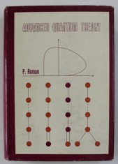 Advanced quantum theory : an outline of the fundamental ideas / Paul Roman