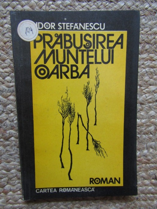 Tudor Stefanescu - Prabusirea muntelui Oarba