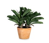 Cumpara ieftin Ananas artificial in ghiveci 53x40x43h