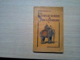 SOUS LE SOLEIL DE L`AFRIQUE - Milorad Raitchevitch -1931, 239 p.+ harta