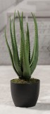 Cumpara ieftin Aloe artificiala in ghiveci 55 H