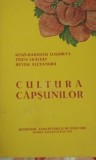 CULTURA CAPSUNILOR