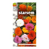 Seminte flori Starsem, flori de piatra, duble