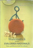 Cumpara ieftin Matematica pentru Evaluarea Nationala - Ioan Balica, Marius Perianu