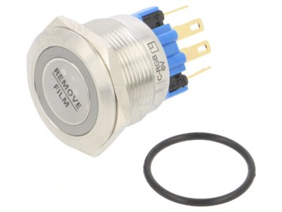 Comutator Anti-Vandalism IP65 2A 48V DC foto