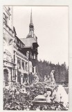 Bnk cp Sinaia - Muzeul Peles - necirculata, Printata