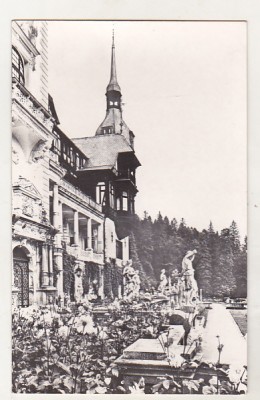 bnk cp Sinaia - Muzeul Peles - necirculata foto