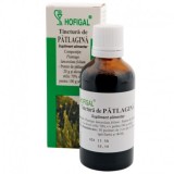 Tinctura Patlagina Hofigal 50ml