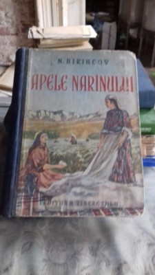 APELE NARINULUI - N. BIRIUCOV foto