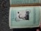Carnet austria vechi - 4