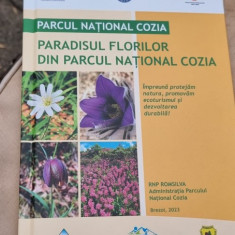 Paradisul florilor din parcul national Cozia