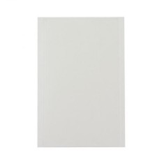 Adeziv OCA Optical Apple iPad Air 2