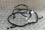 Cablaj senzor de parcare spate TESLA MODEL X 2020 OEM: 1032435-00-G | 31670196