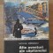 ALTE AVENTURI ALE CAPITANULUI VIGU-NICOLAE MARGEANU-259716