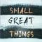 Jodi Picoult - Small Great Things